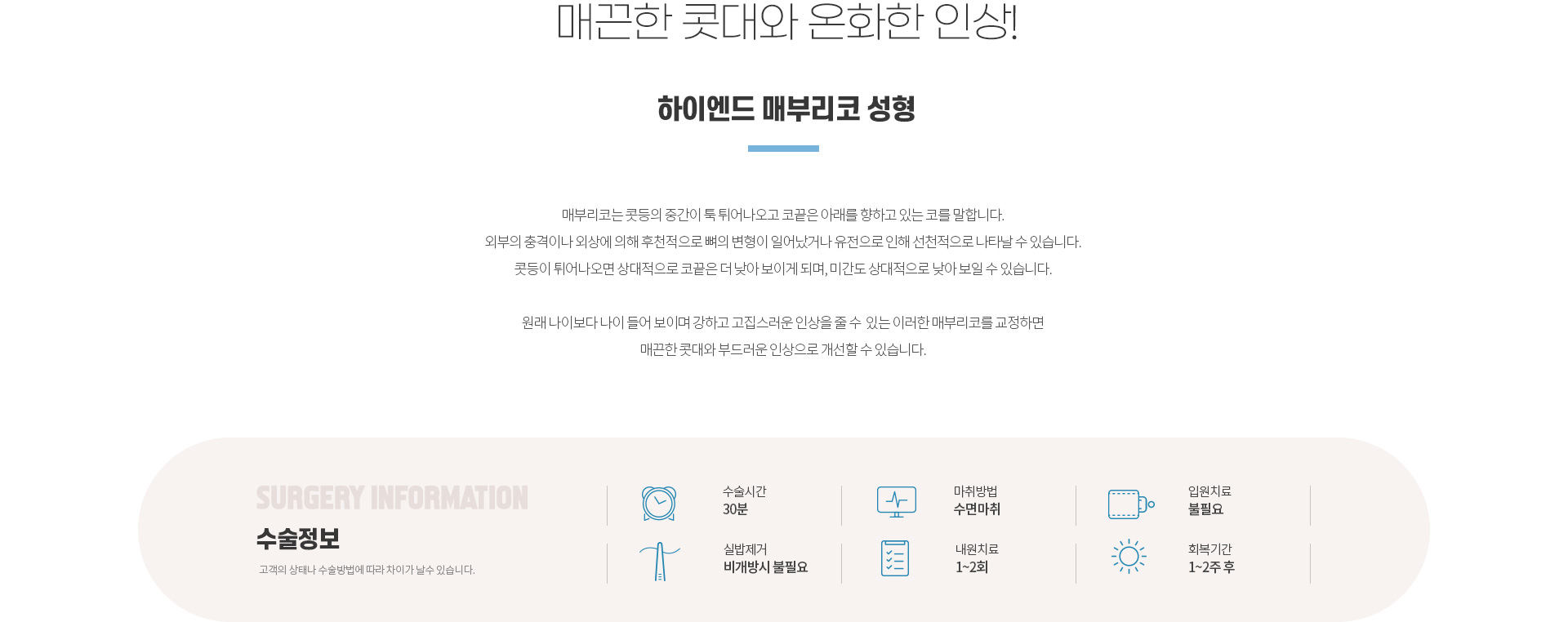 하이엔드 유형별 코성형 매부리코